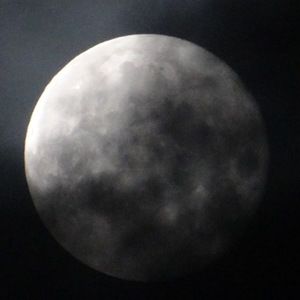 Meet your Posher, Shadow